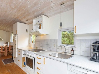 Holiday house 4 Personen Ferienhaus in Hurup Thy-By Traum - Outdoor photo 9