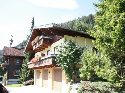 Apartment Apartment in Kleinarl near Ski Lift - Outdoor photo 8