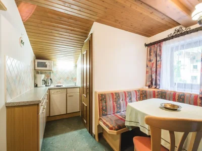 Apartment Apartment in Kleinarl near Ski Lift - Features photo 12