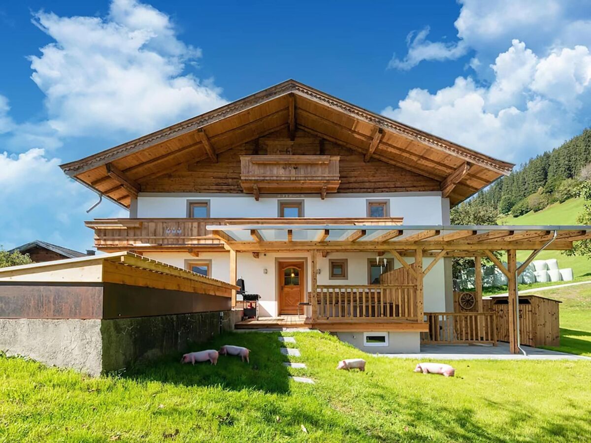 Holiday house Farmhouse in Wildkogel near Ski Slopes