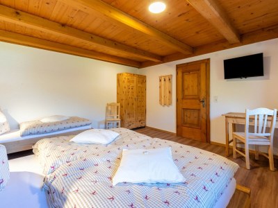 Holiday house Farmhouse in Wildkogel near Ski Slopes - Features photo 16