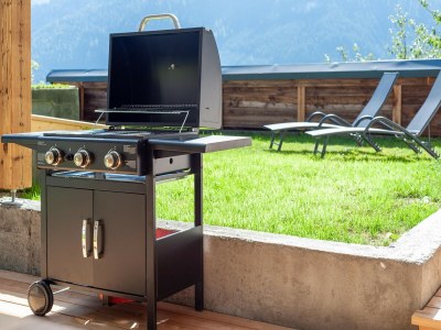 Holiday house Farmhouse in Wildkogel near Ski Slopes - Outdoor photo 39