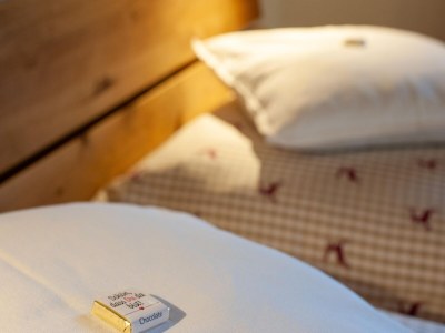 Holiday house Farmhouse in Wildkogel near Ski Slopes - Outdoor photo 40