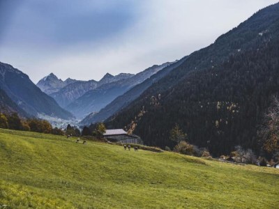 Cottage Wohnung in St. Gallenkirch nahe Skipisten - Environment photo 27