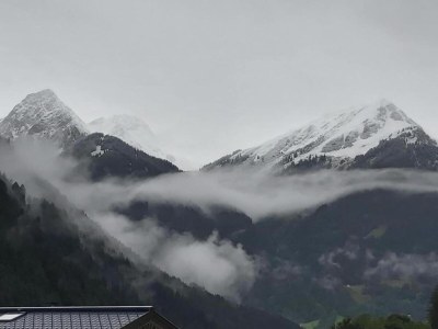 Cottage Wohnung in St. Gallenkirch nahe Skipisten - Environment photo 29