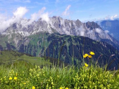 Cottage Wohnung in St. Gallenkirch nahe Skipisten - Environment photo 35