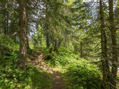Cottage Chalet in St. Gallenkirch near Ski Lift - Environment photo 36