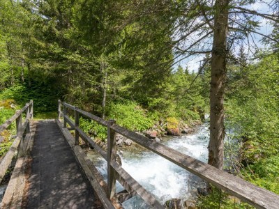 Cottage Chalet in St. Gallenkirch near Ski Lift - Environment photo 37