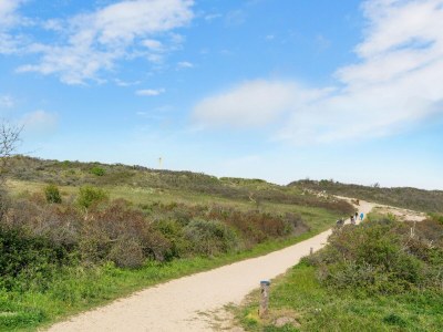 Holiday house Luxury chalet near Ouddorp with garden - Environment photo 27