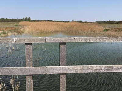 Holiday house Luxury chalet near Ouddorp with garden - Environment photo 28