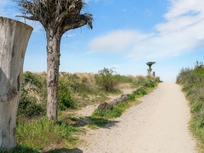 Holiday house Luxury chalet near Ouddorp with garden - Environment photo 29