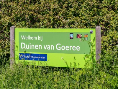 Holiday house Luxury chalet near Ouddorp with garden - Environment photo 34