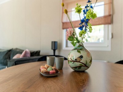 Holiday house Luxury chalet near Ouddorp with garden - Outdoor photo 36