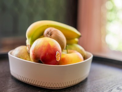 Holiday house Luxury chalet near Ouddorp with garden - Outdoor photo 38