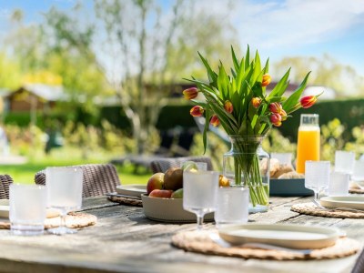 Holiday house Luxury chalet near Ouddorp with garden - Outdoor photo 39