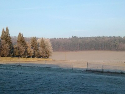 Holiday house Cottage in Nouart Countryside - Outdoor photo 9