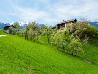 Apartment Wohnung in Hainzenberg in einem Skigebiet - Environment photo 14