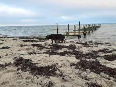 Holiday house 4 person holiday home in Hejls-By Traum - Outdoor photo 31