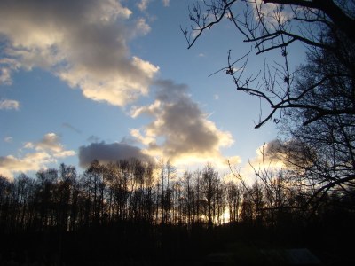 Holiday apartment im Spreewaldferienhaus - Environment photo 15