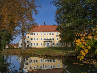 Holiday apartment im Spreewaldferienhaus - Environment photo 19
