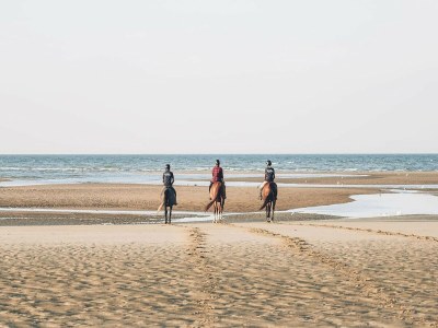 Apartment Ferienwohnung im Dünenpark Binz - Environment photo 9