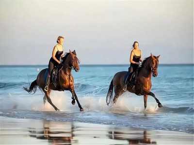 Holiday house Villa in Vejer with Natural Park Views - Environment photo 31