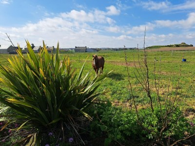 Holiday house Ferienhaus in Cléder nahe Amiets Strand - Outdoor photo 4
