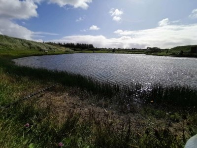 Holiday house 10 person holiday home in Harboøre-By Traum - Outdoor photo 18