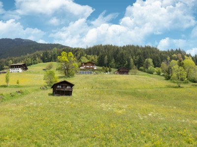 Apartment Chalet in Gattererberg near Ski Slopes - Environment photo 29
