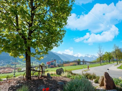 Apartment Chalet in Gattererberg near Ski Slopes - Environment photo 31