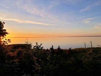 Holiday house 6 person holiday home in Ulfborg-By Traum - Outdoor photo 6