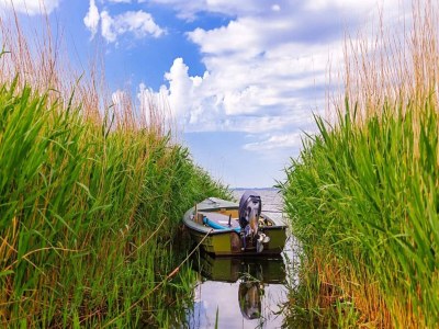 Holiday house 6 person holiday home in Ulfborg-By Traum - Outdoor photo 7