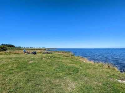 Holiday house 6 person holiday home in Ulfborg-By Traum - Outdoor photo 8