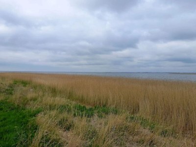 Holiday house 6 person holiday home in Ulfborg-By Traum - Outdoor photo 13