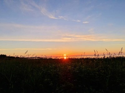 Holiday house 6 person holiday home in Ulfborg-By Traum - Outdoor photo 20