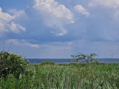 Holiday house 6 person holiday home in Ulfborg-By Traum - Outdoor photo 33