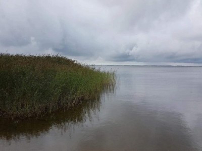 Holiday house 6 person holiday home in Ulfborg-By Traum - Outdoor photo 36