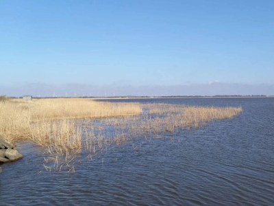 Holiday house 6 person holiday home in Ulfborg-By Traum - Outdoor photo 41