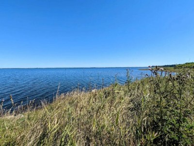 Holiday house 6 person holiday home in Ulfborg-By Traum - Outdoor photo 46