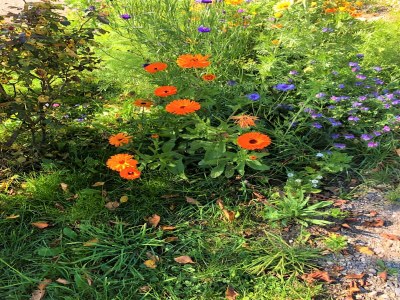 Holiday house Ruhige Wohnung in Polling mit Terrasse - Environment photo 22