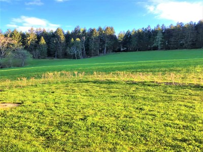 Holiday house Ruhige Wohnung in Polling mit Terrasse - Environment photo 25