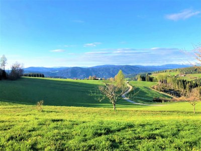 Holiday house Ruhige Wohnung in Polling mit Terrasse - Environment photo 32