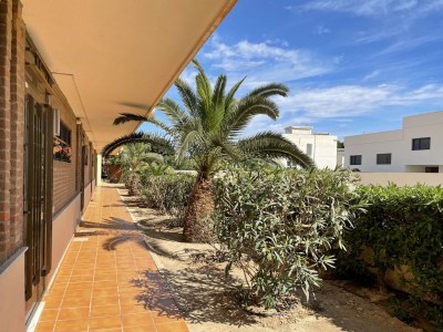 Apartment Apartment mit Terrasse und Gemeinschaftspool - Outdoor photo 7