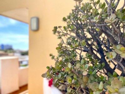 Apartment Apartment mit Terrasse und Gemeinschaftspool - Outdoor photo 40