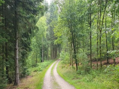 Holiday house 6 person holiday home in Løgstør-By Traum - Outdoor photo 9