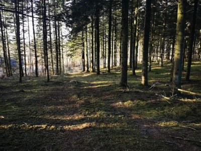 Holiday house 6 person holiday home in Løgstør-By Traum - Outdoor photo 10