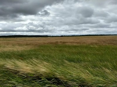 Holiday house 6 person holiday home in Løgstør-By Traum - Outdoor photo 18