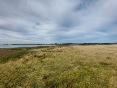 Holiday house 6 person holiday home in Løgstør-By Traum - Outdoor photo 20