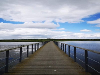 Holiday house 6 person holiday home in Løgstør-By Traum - Outdoor photo 25