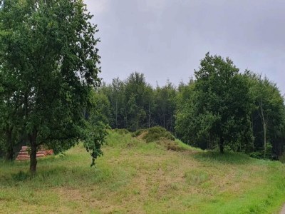 Holiday house 6 person holiday home in Løgstør-By Traum - Outdoor photo 30